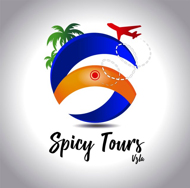 Logo Spicy Tours Boceto 2-02.jpg