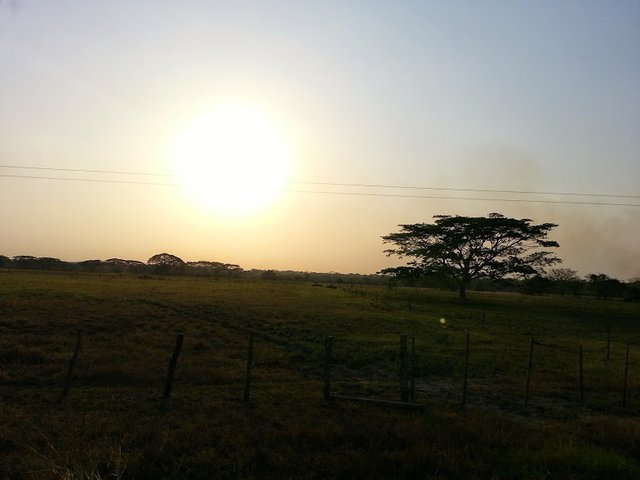 paisajes barinas 3.jpg