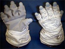 gloves nasaliars.jpg