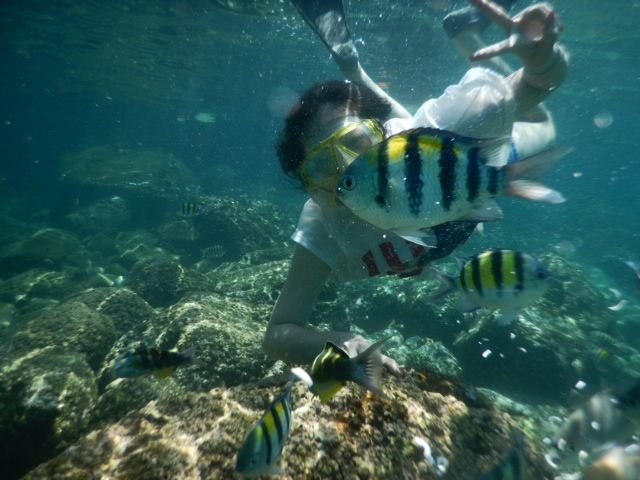 3-snorkling-sabang-pulau-weh.jpeg