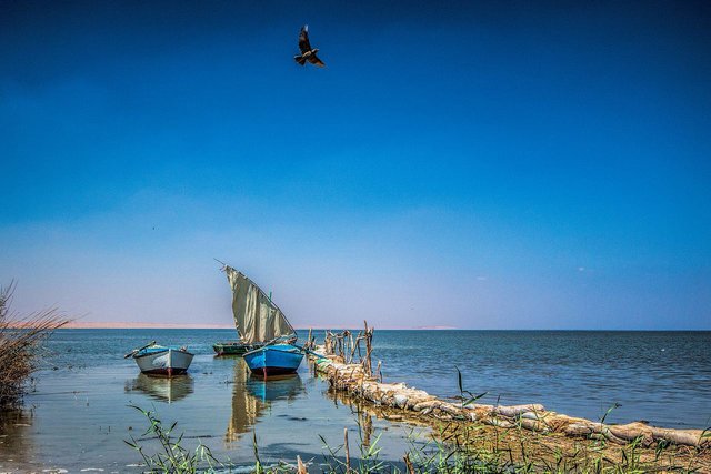 Nile102_Lake_Qarun.jpg