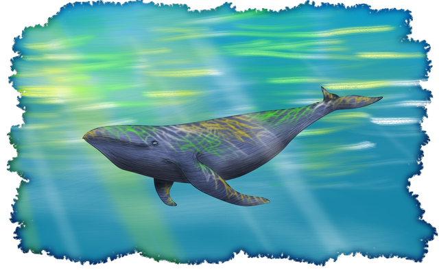 AnikeKirsten-whale.png