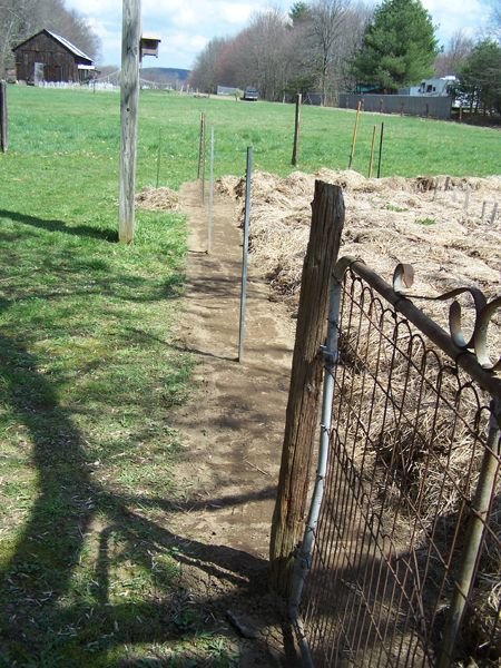 Big garden - trench tamped1 crop April 2018.jpg
