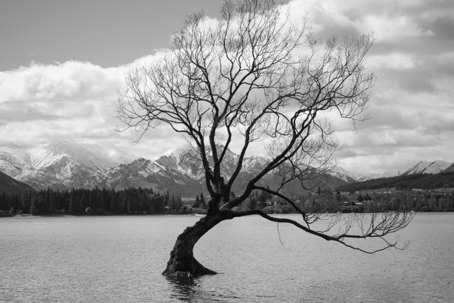 DSC_0452.jpg
