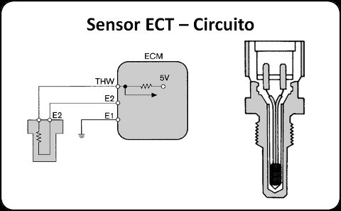 sensor_ect_02.jpg