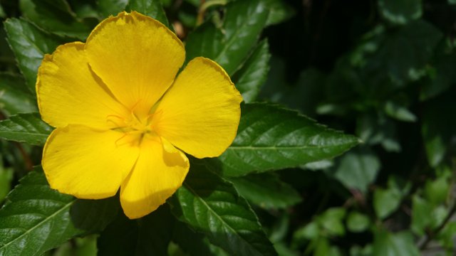 20180407_100338.jpg