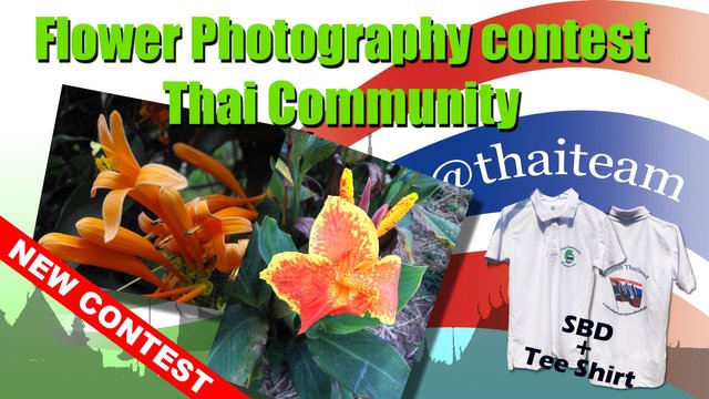 New Contest Flower Photography.jpg