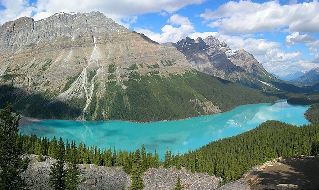 800px-Peyto_Lake-Banff_NP-Canada.jpg