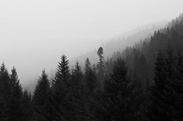 morningmountainb&w.jpg