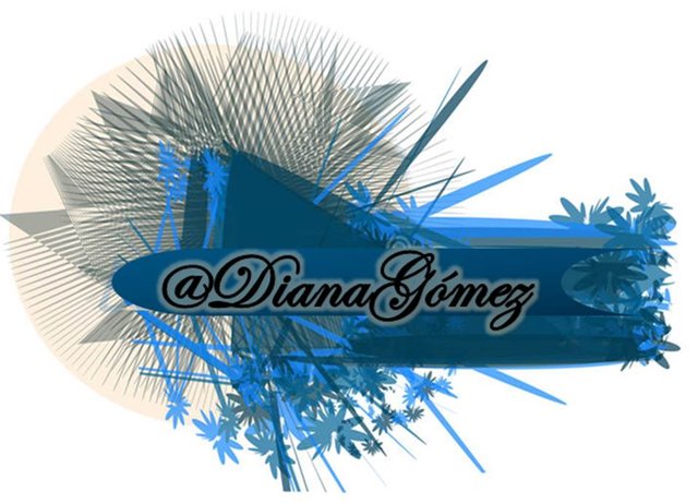 firma1 diana.jpg