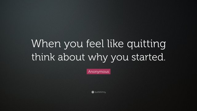 29273-Anonymous-Quote-When-you-feel-like-quitting-think-about-why-you.jpg