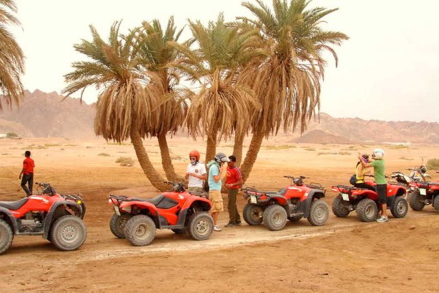 sharm-quad-bike-safari-excursion.jpg