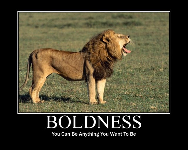 boldness poster.jpg