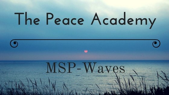 The Peace Academy.jpg