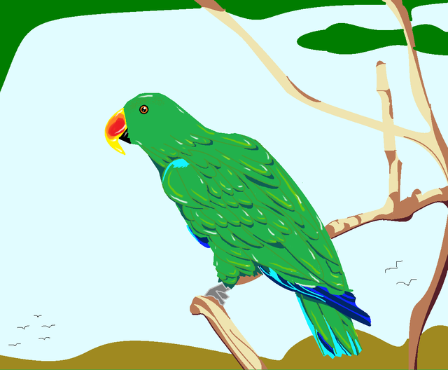 Parrot work.png