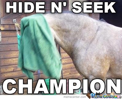 hide-n-seek-champion_o_443930.jpg