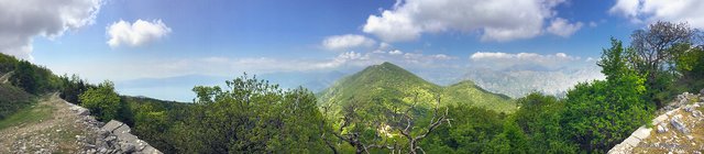 IMG_4696.jpg