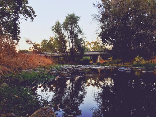 Nature Creek Trail - October California 009.JPG