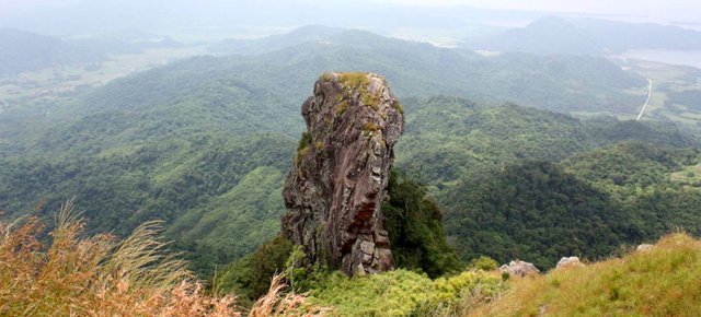 Palay Palay.jpg