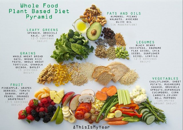 plant diet.jpg