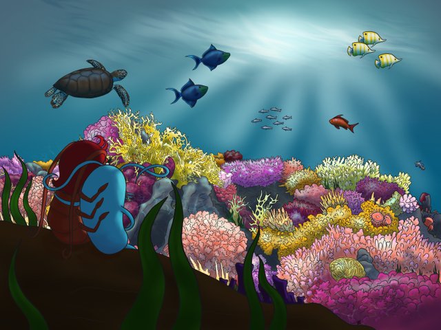 Reef.jpg