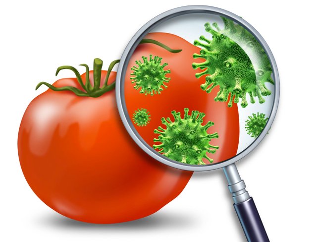 looking-glass-israel-pesticides-tomato.jpg