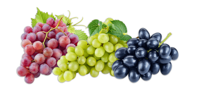 grapes-fruits-png-transparent-images-clipart-icons-pngriver-download-free-Cape-page_strip-1-1024x465.png