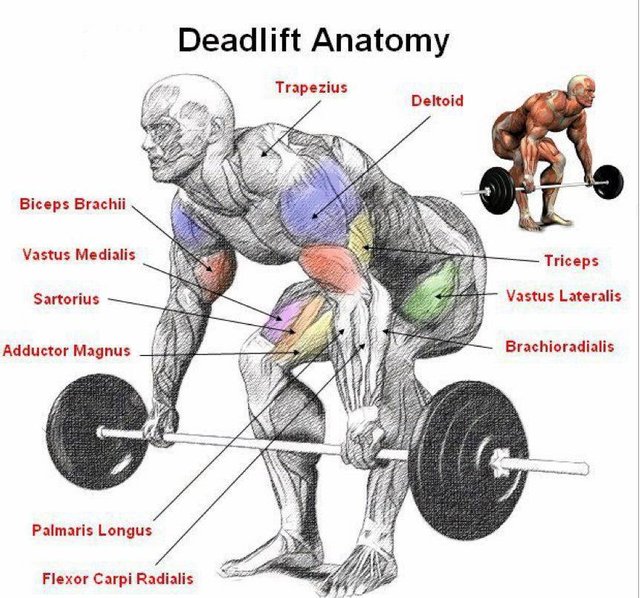 deadlift.jpg