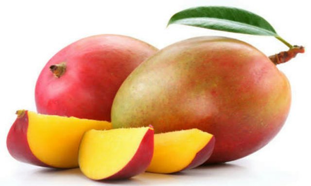 Download Why Do We Need To Eat Mangoes Know What Health Tips Steemit For iPhone Free Wallpaper Why Do We Need To Eat Mangoes Know What Health Tips Steemit HD