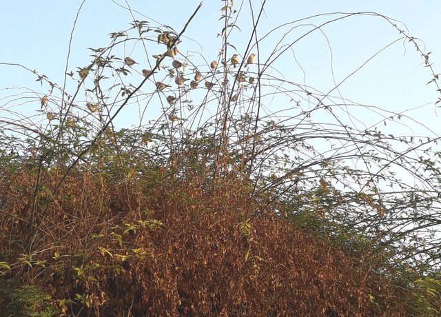 20180108_092030.jpg