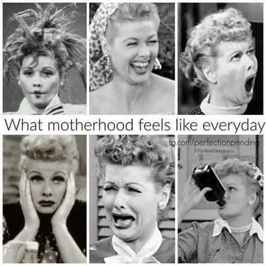 FB_IMG_1525868443283.jpg
