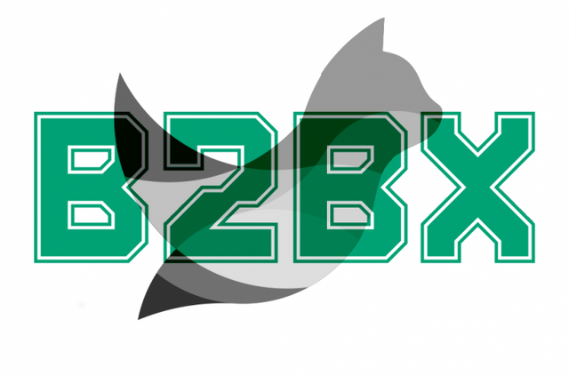 b2bx-1-730x482.png