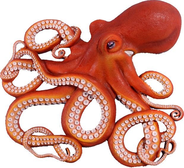 cc3e2adfda62bb7d2efdc136beffbaea--octopus-painting-octopus-art.jpg