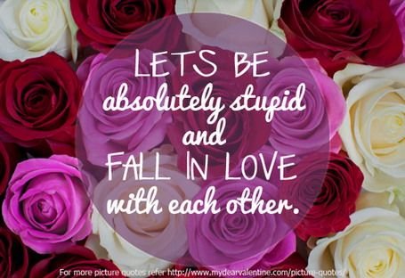 Love-Quotes-Lets-be-Absolutely-Stupid-and-Fall-in-Love-with-Each-Other.jpg