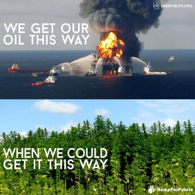 crude oil vs hemp oil.jpg