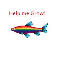 help grow.jpg