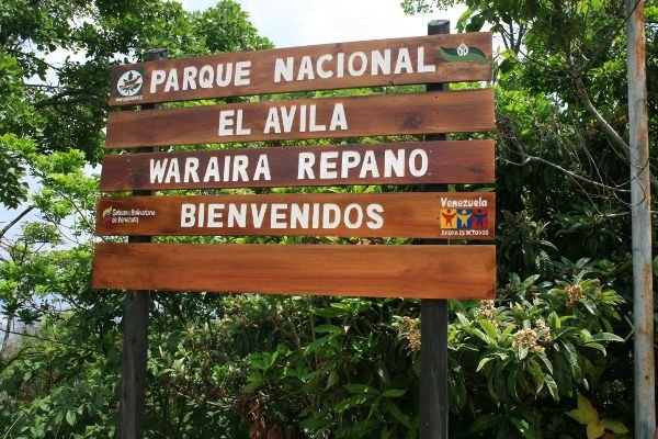 parque nacional el avila.jpg