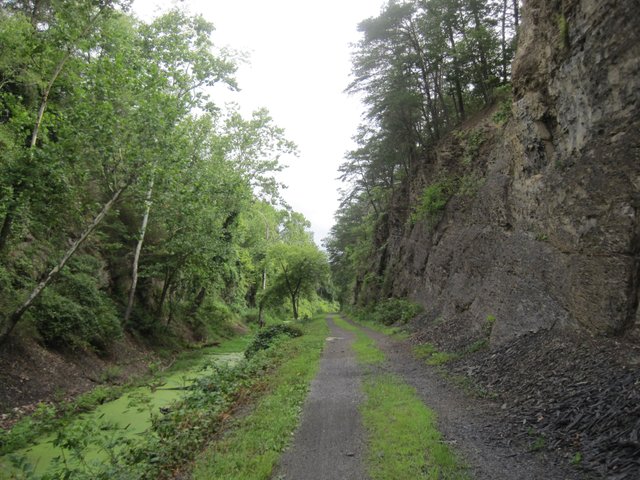 Canon PowerShot SD1200 IS224.JPG