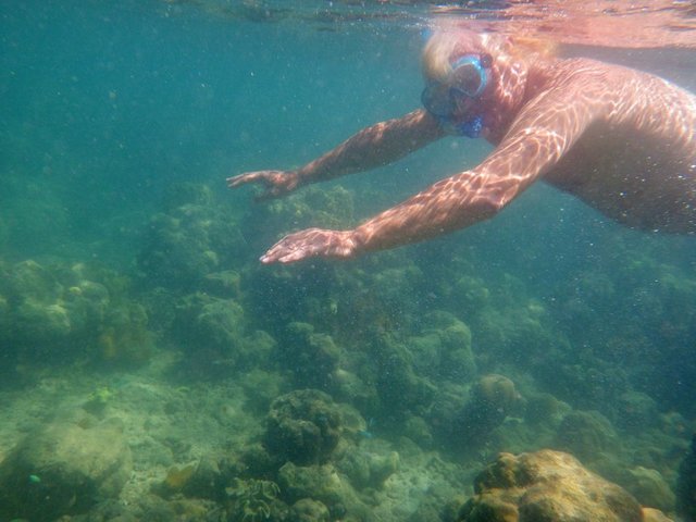 snorkelling.JPG