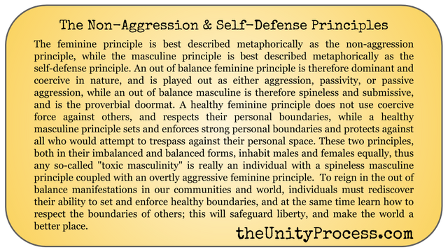 the non-aggression and self-defense principles.png