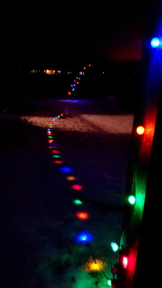 Christmas Lights under Snow.jpg