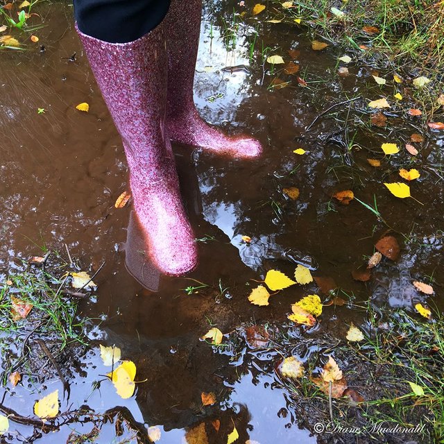 pink rain boots.jpg