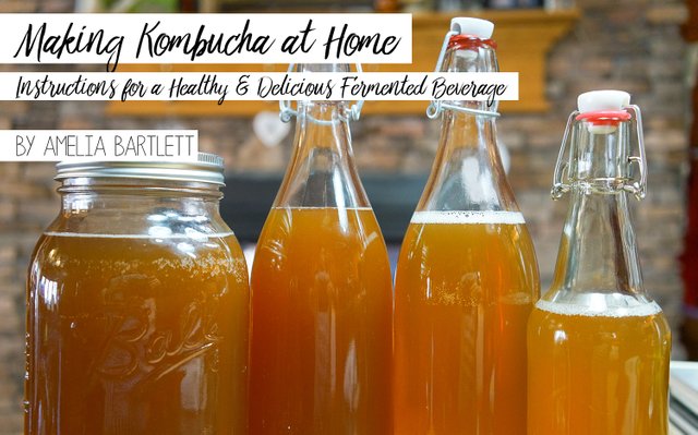 kombucha-at-home.jpg