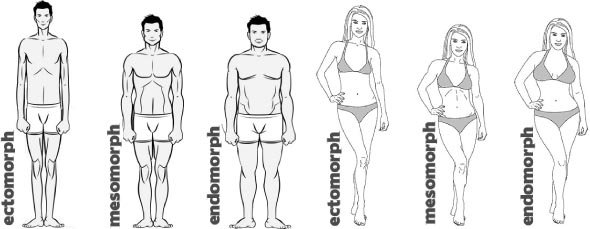 body-types-mesomorph.jpg