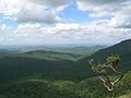 120px-Mudumalai_forest.jpg