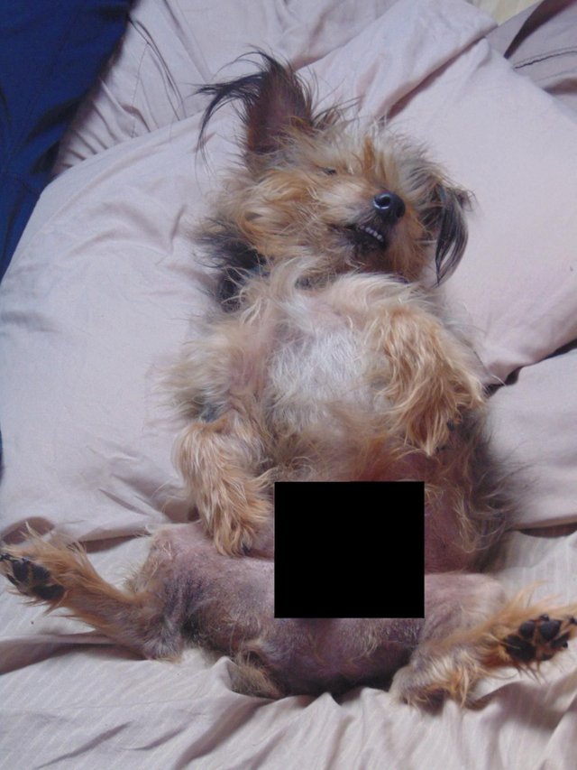 Foster censored.JPG