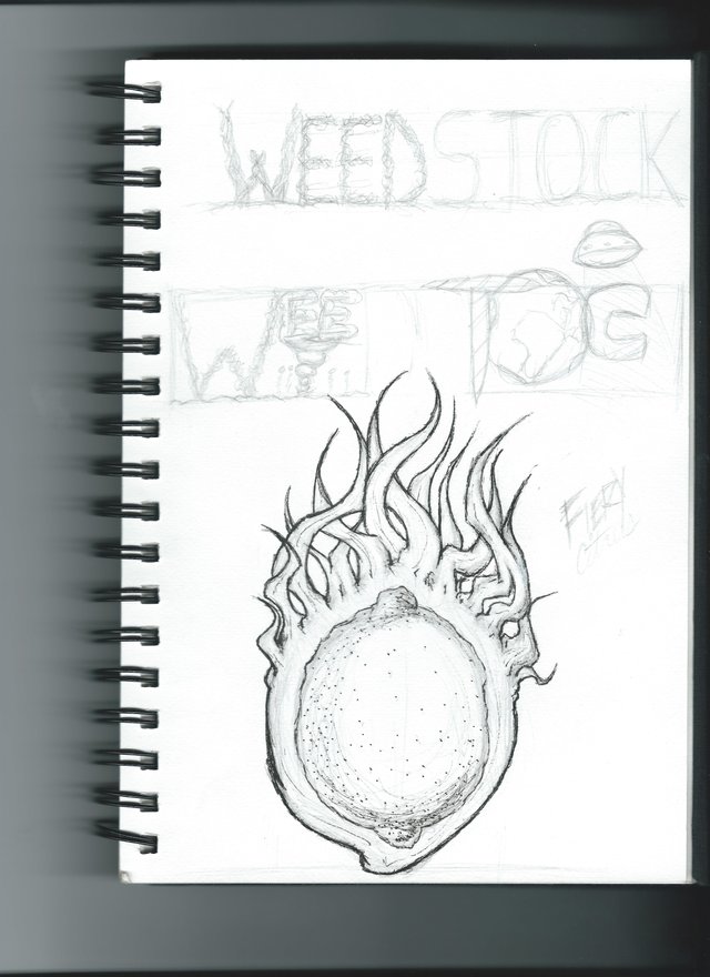 fiery citrus sketch.jpg