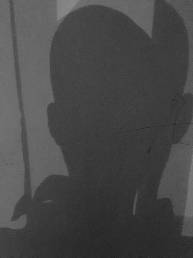 self shadow.jpeg