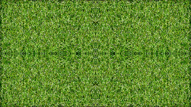 grass mandala.png