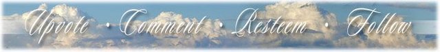 DONNA-STEEMIT-FOOTER2.jpg